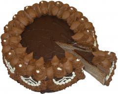 Dort čokoládový 100g