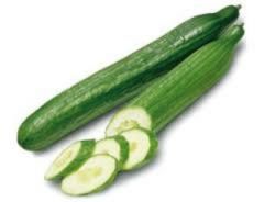 Okurka