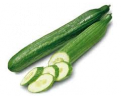 Okurka ks